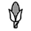 kukurudza