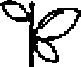 rіpak