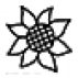 sonjashnik