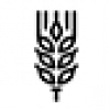 zernovі